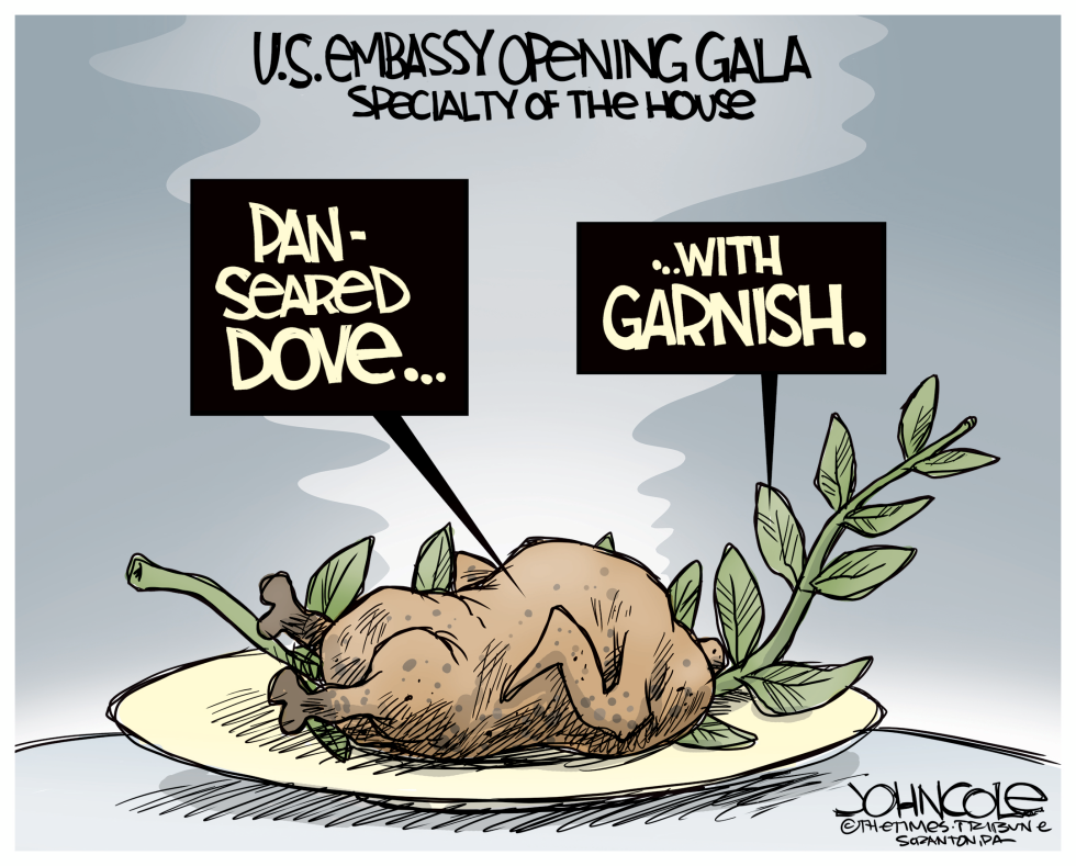 Panseared Middle East dove
