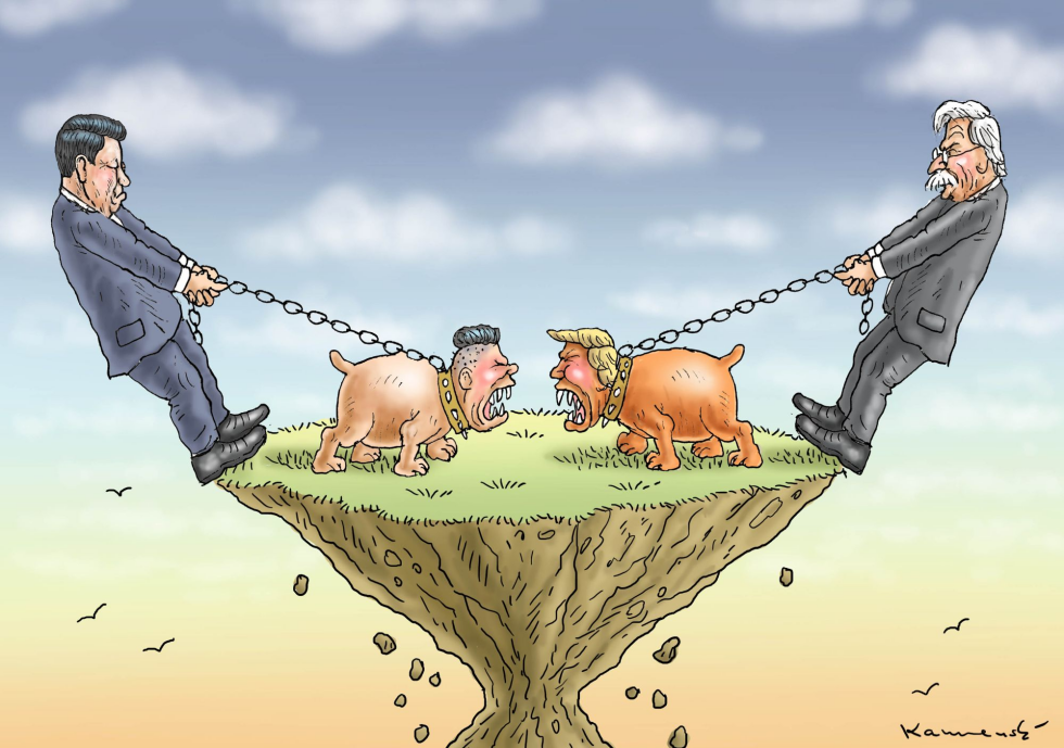 Barking Dogs