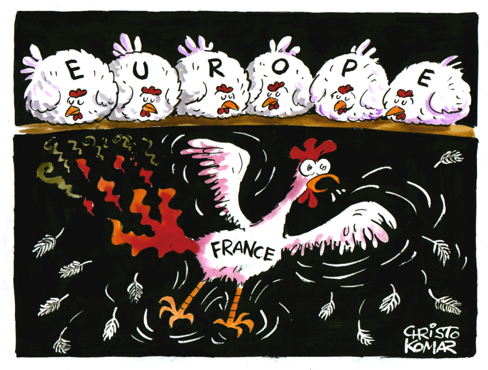 French Rooster on Fire - COLOR
