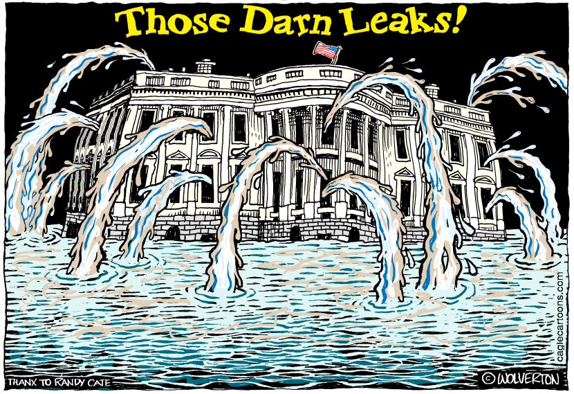 Those Darn White House Leaks