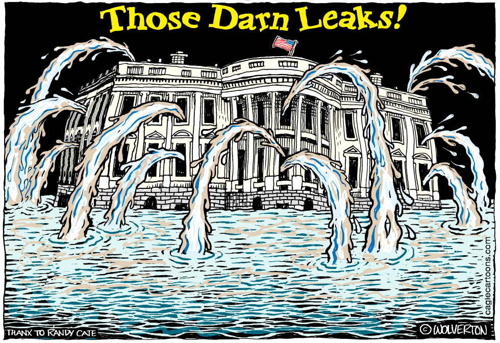  THOSE DARN WHITE HOUSE LEAKS by Wolverton