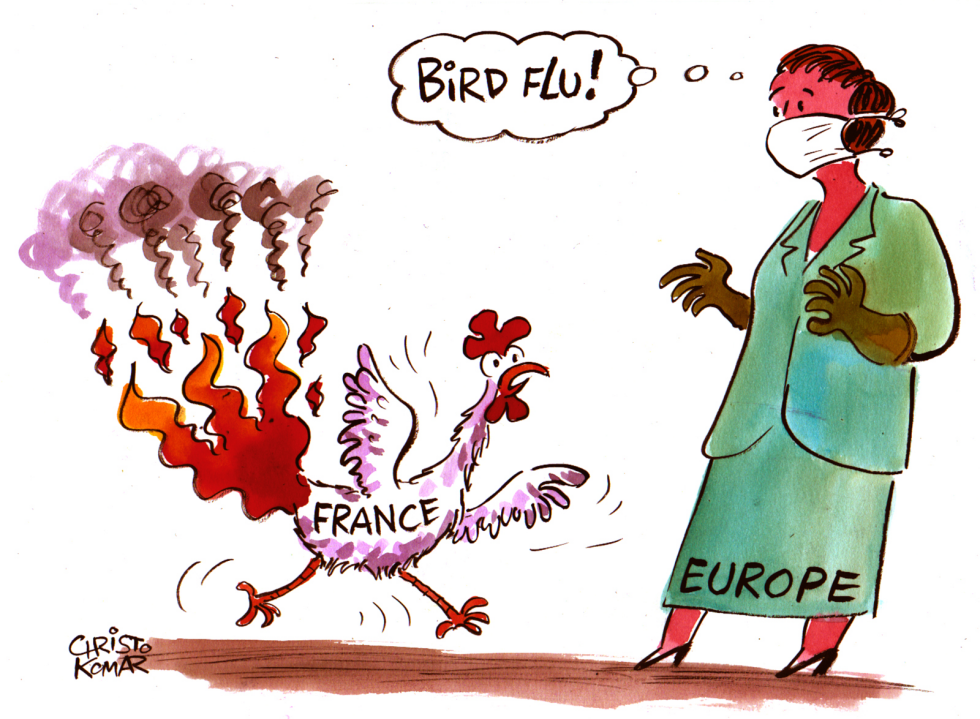 French Rooster on Fire 2 - COLOR