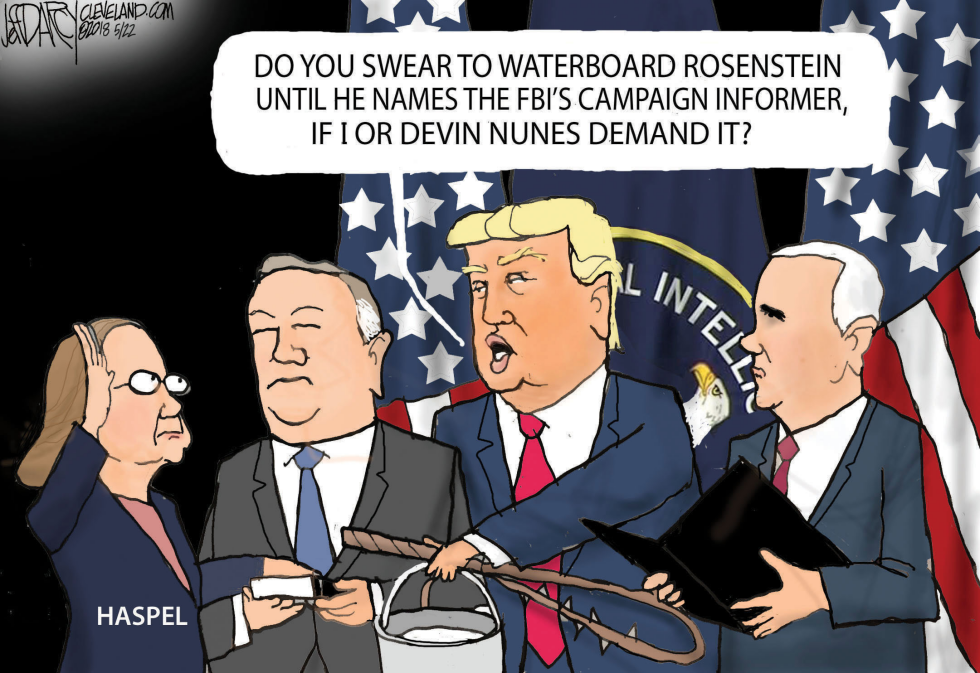Haspel, Devin Nunes, FBI Informant