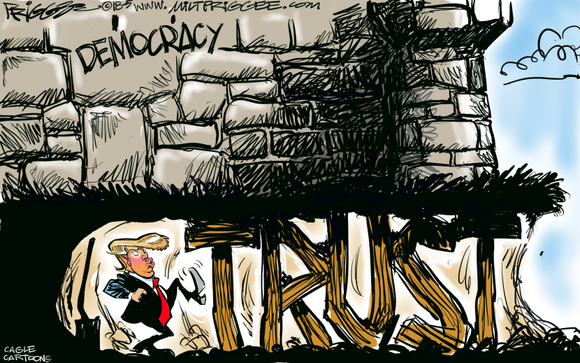Trump Trust