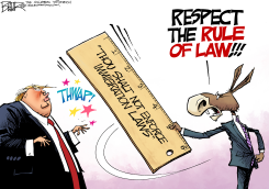 IMMIGRATION RULE OF LAW by Nate Beeler