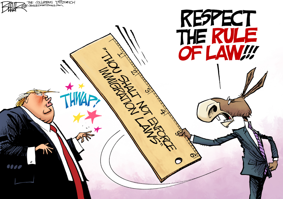 Immigration Rule of Law