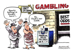 FINANCIAL REGULATION ROLLBACK  by Jimmy Margulies