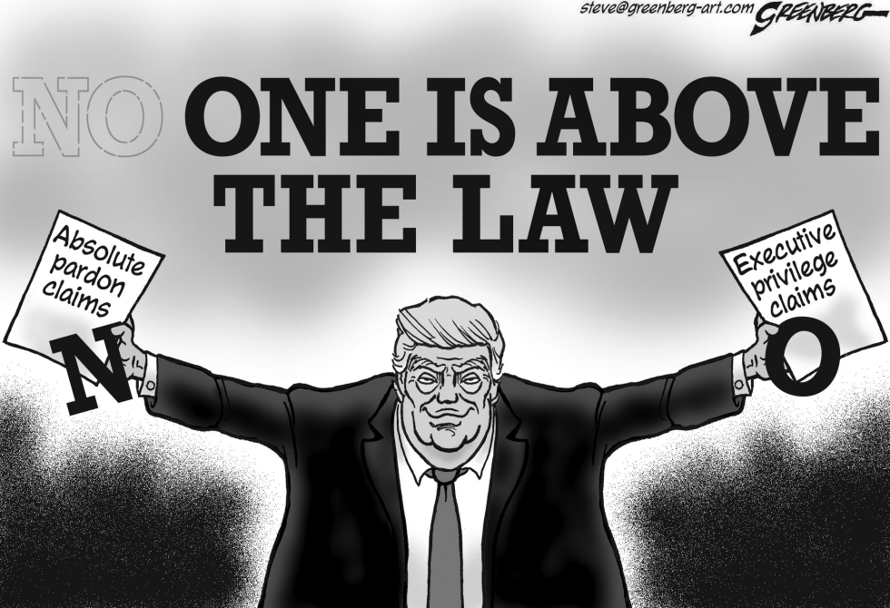 No One Trump bw
