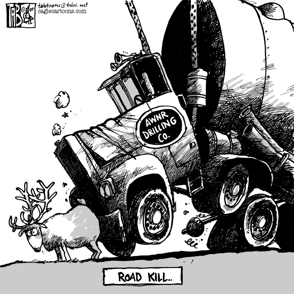 Arctic Road Kill