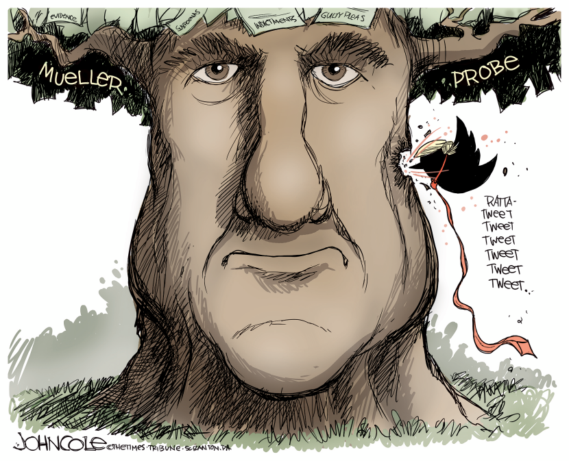 Mueller and Trump