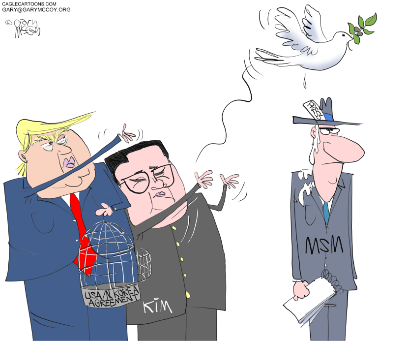 Trump Kim Summit Releases Peace Symbol While Media Reacts