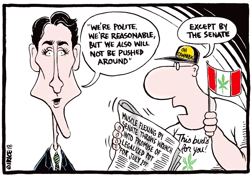 Legalizing Pot for July 1st