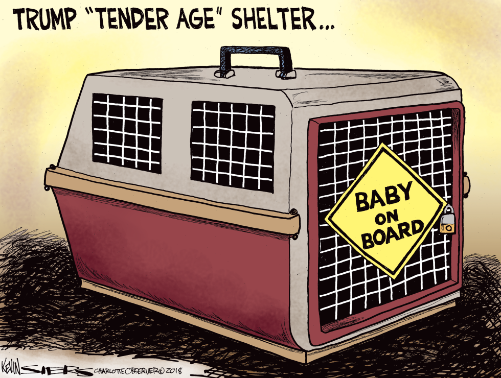 Tender Age Shelters