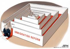 IMMIGRATION REFORM MAZE by R.J. Matson