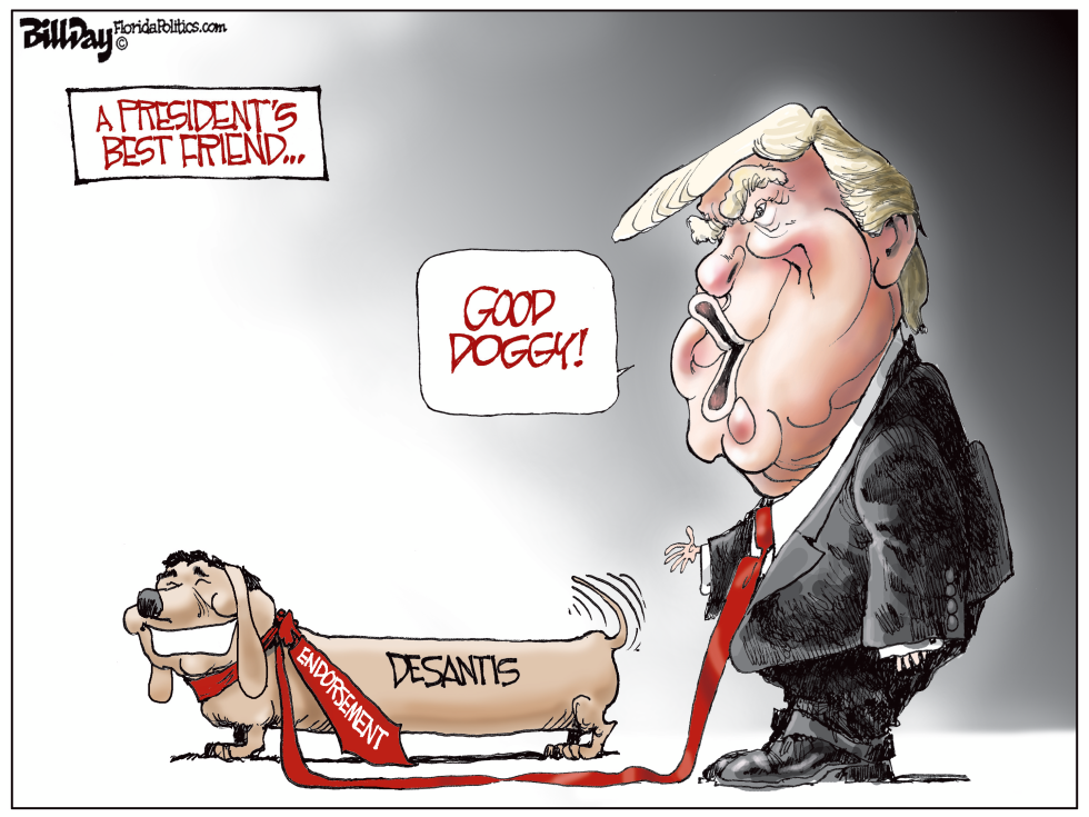 DeSantis FLORIDA