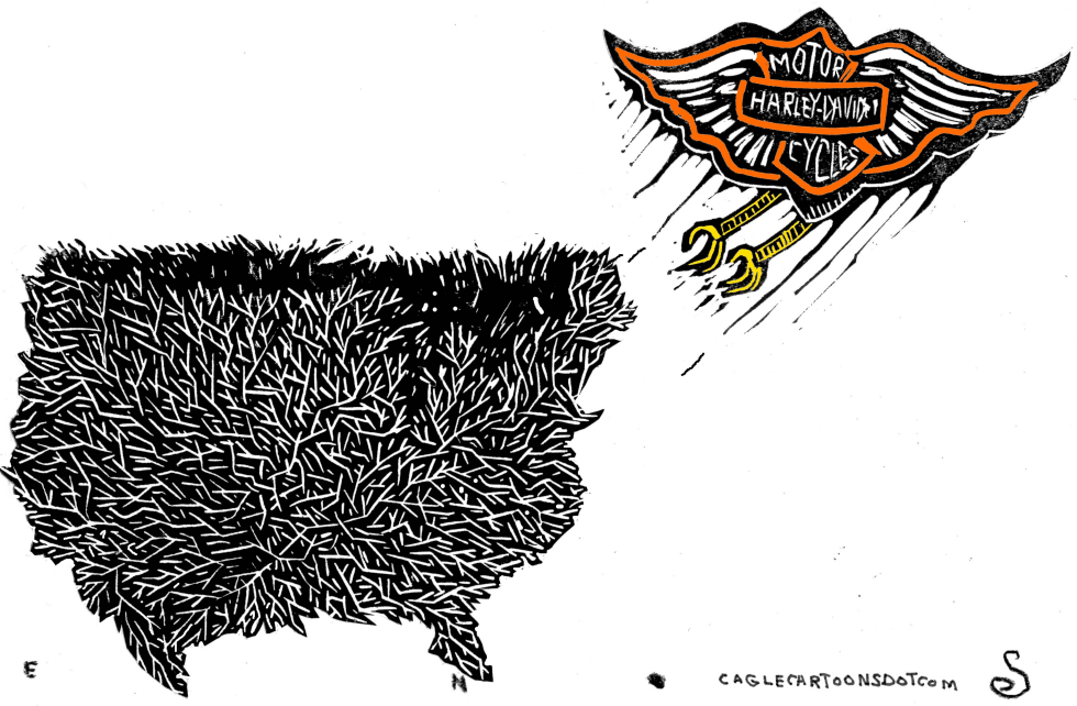 Harley Leaves the USA Nest