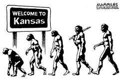 KANSAS AND THE TEACHING OF EVOLUTION by Jimmy Margulies