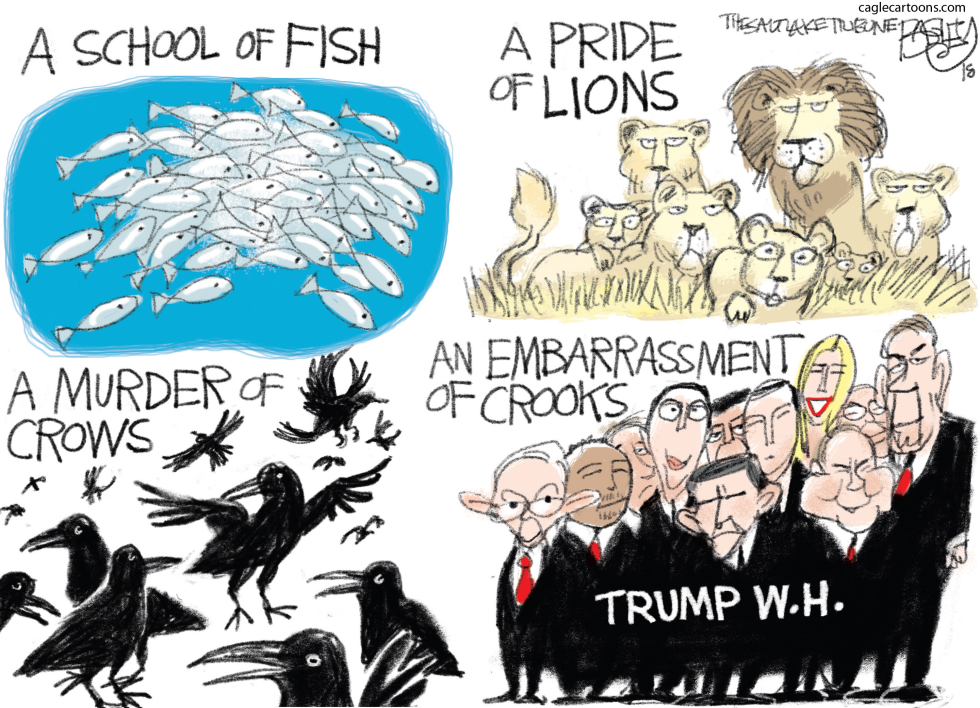 Crooks and Liars