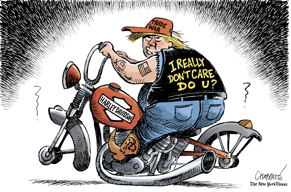 Harley Davidson in the crossfire