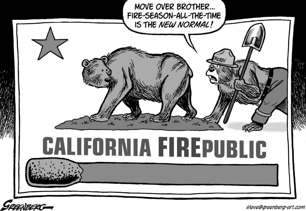 California Firepublic bw