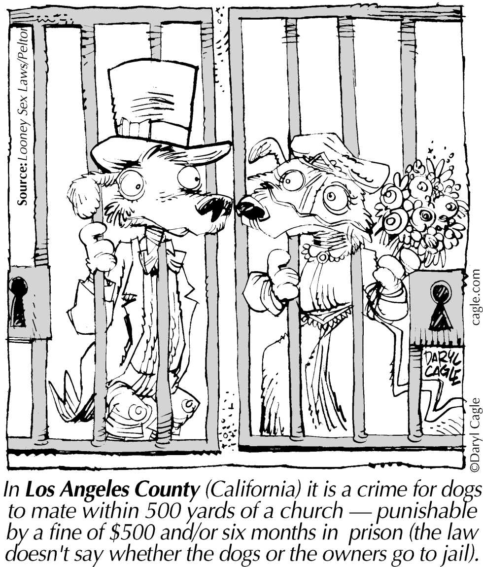 TRUE Marriage Doggie Jail