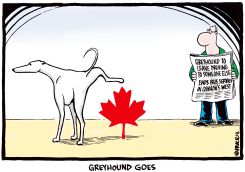 GREYHOUND GOES by Ingrid Rice