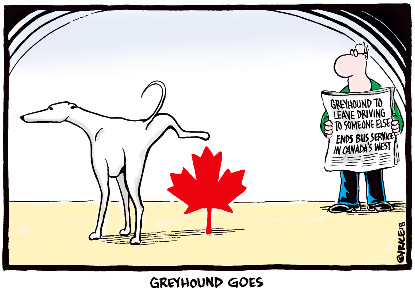 Greyhound Goes