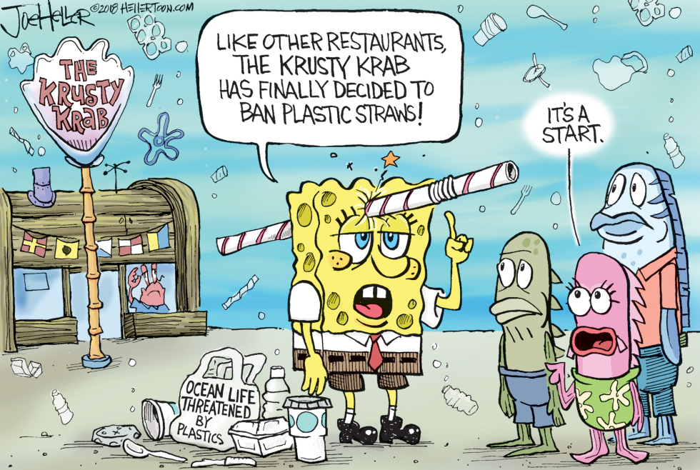 Plastic Straw Ban