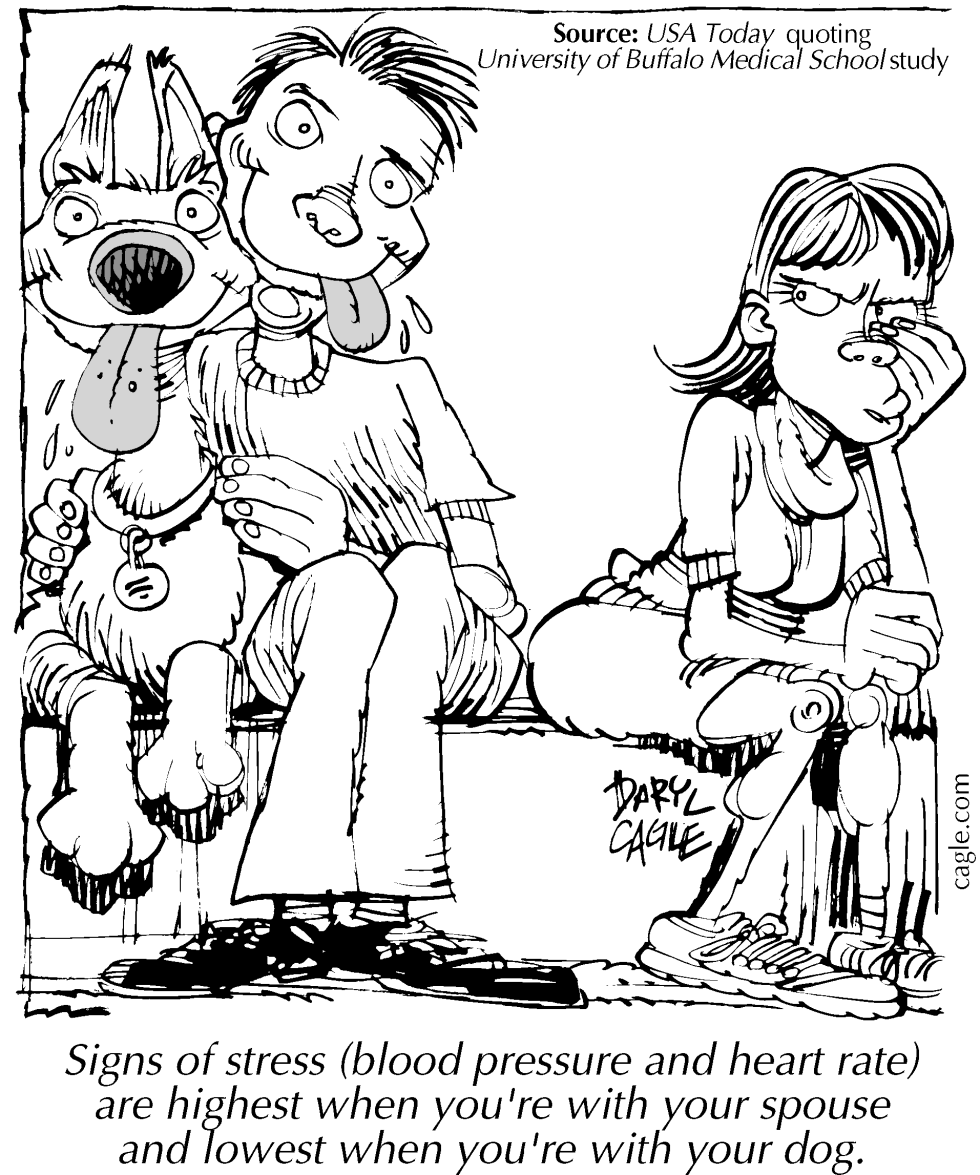 TRUE Marriage DogStress