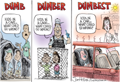 DUMB AND DUMBER by Joe Heller