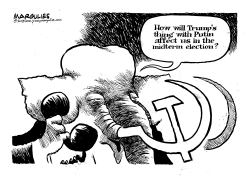 REPUBLICANS AND MIDTERM ELECTION by Jimmy Margulies