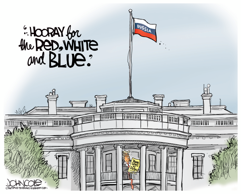  THE NEW RED WHITE AND BLUE by John Cole