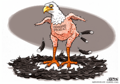 ENDANGERED SPECIES ACT IN DANGER by R.J. Matson