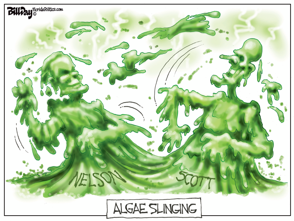 Algae Slinging FLORIDA