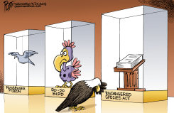 ENDANGERED by Bruce Plante