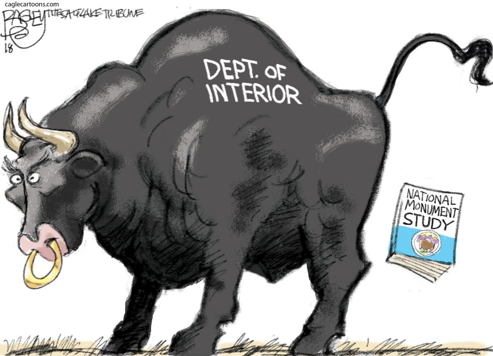Monumental Bull