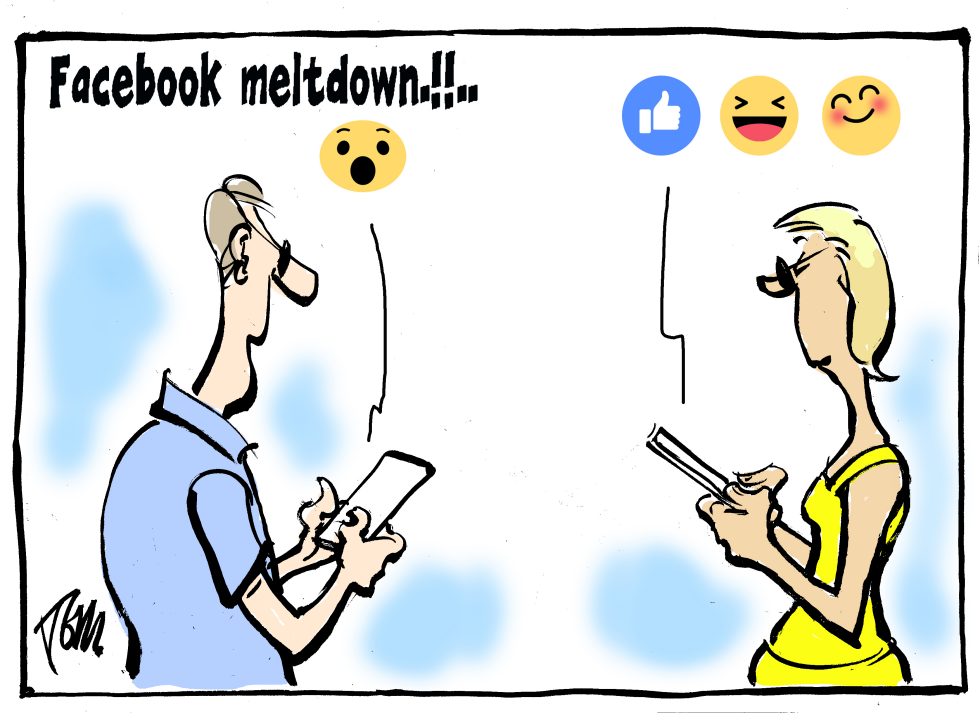  FACEBOOK MELTDOWN by Tom Janssen