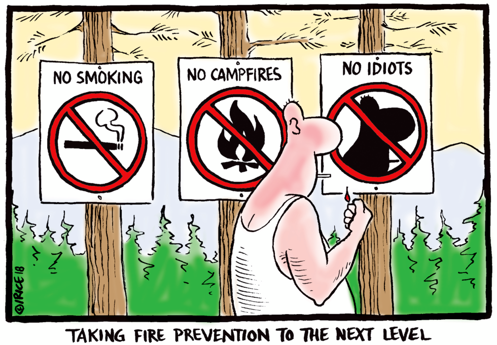 Forest Fire Prevention Next Level