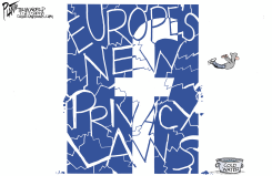 FACEBOOK'S DIVE by Bruce Plante