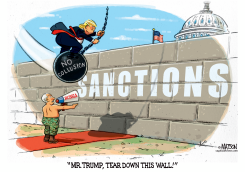 MR TRUMP TEAR DOWN THIS WALL by R.J. Matson