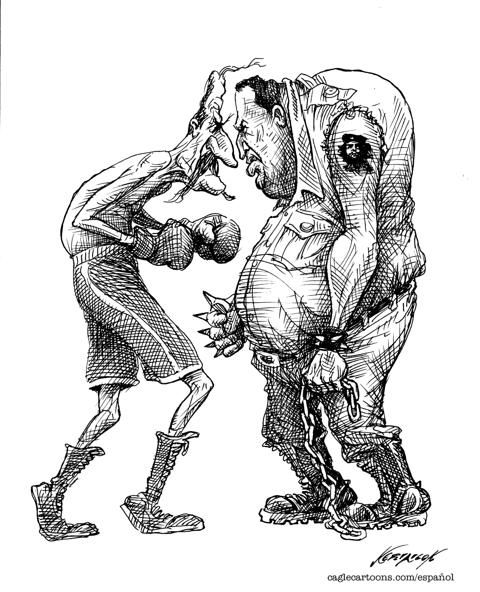 Fox vs Chavez