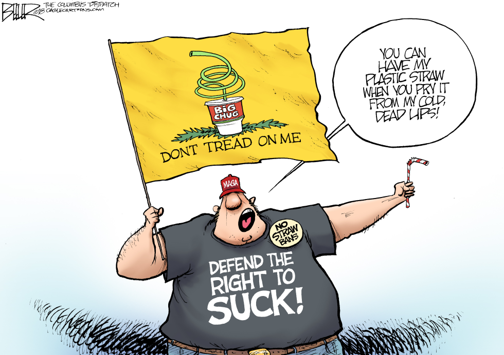 Plastic Straws