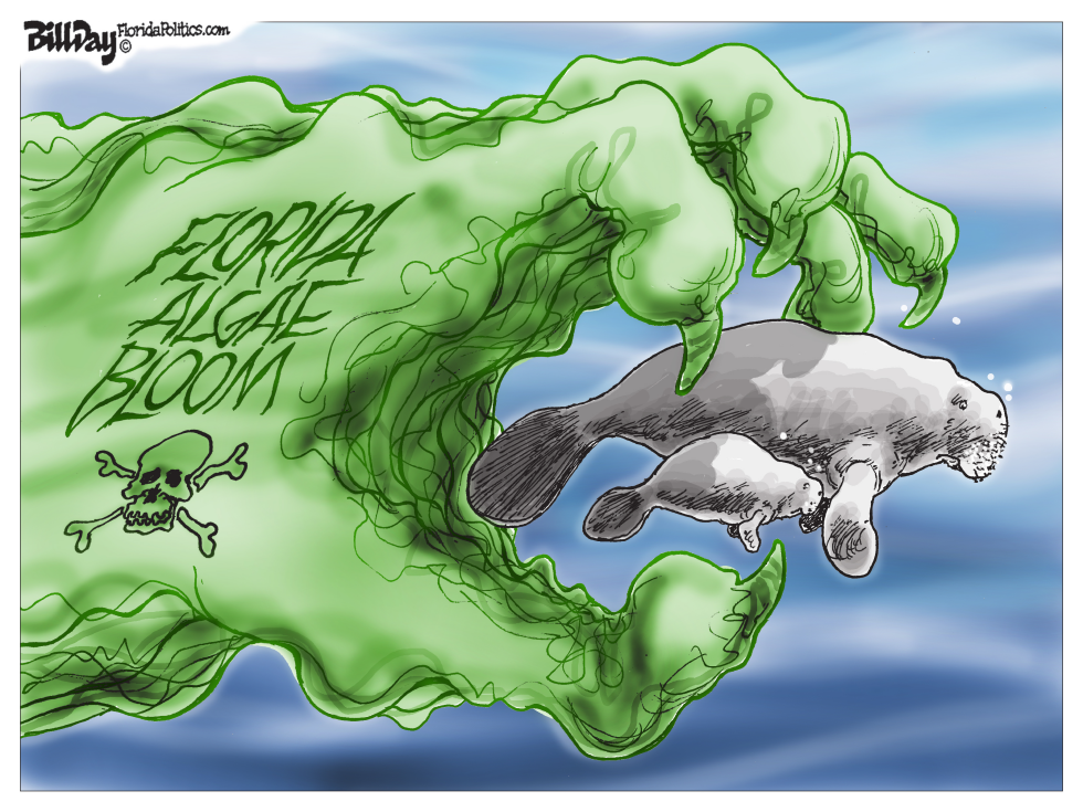 Manatee Deaths