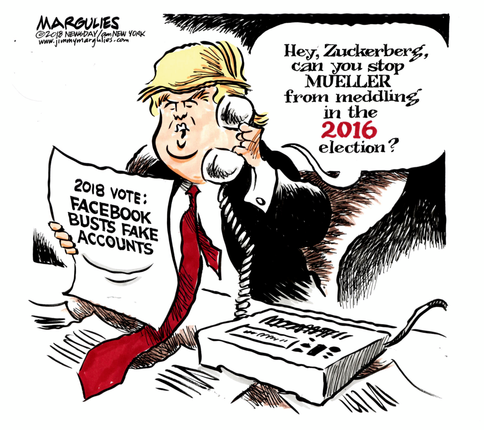 Facebook and election meddling color