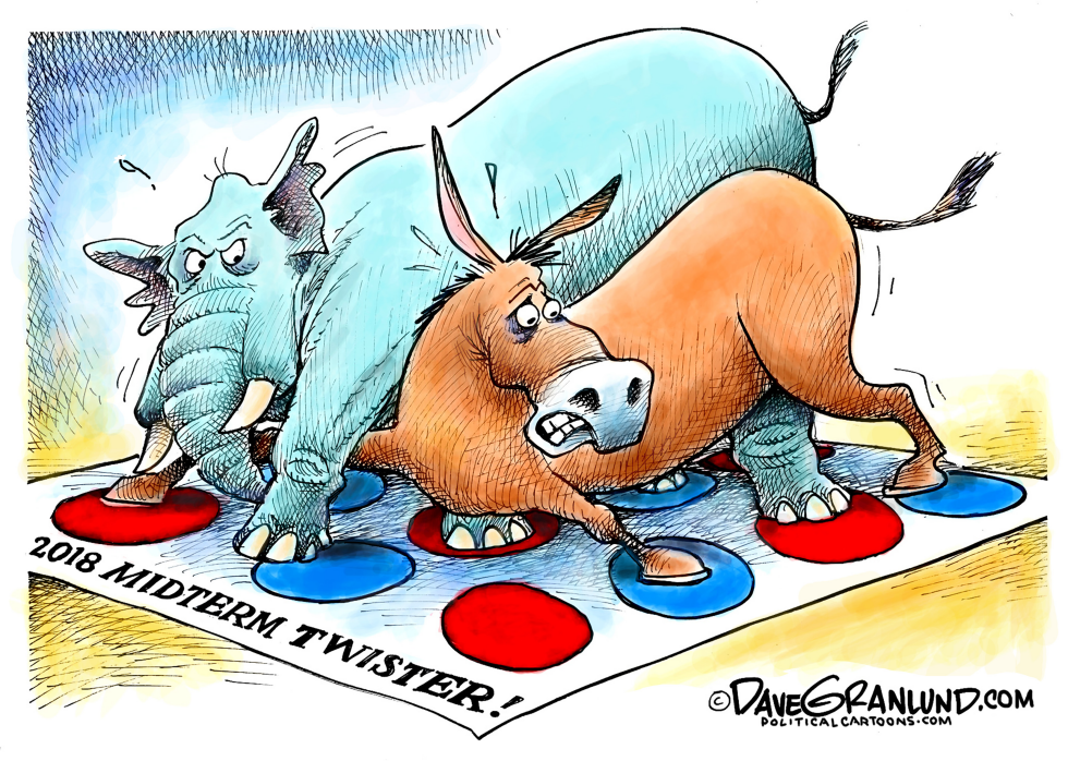  MIDTERMS 2018 TWISTER by Dave Granlund