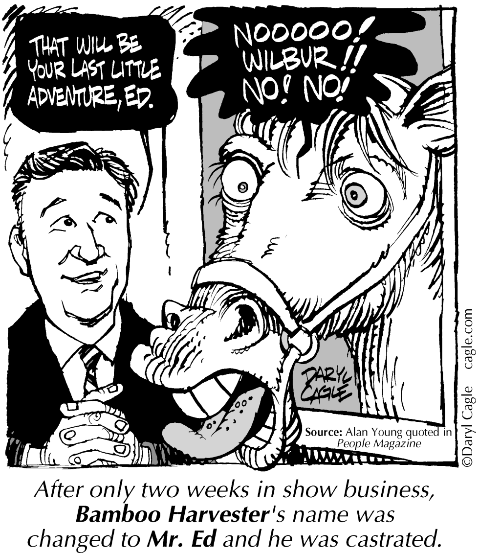 TRUE - Mr. Ed Castrated