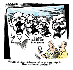 CLEAN AIR ROLLBACKS  by Jimmy Margulies