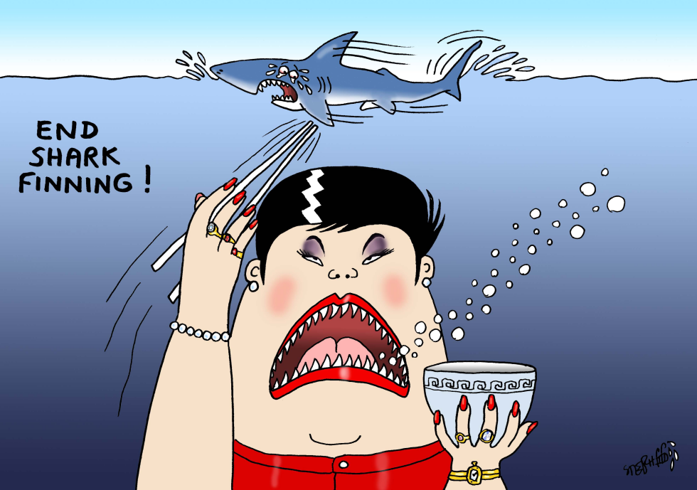  END SHARK FINNING by Stephane Peray