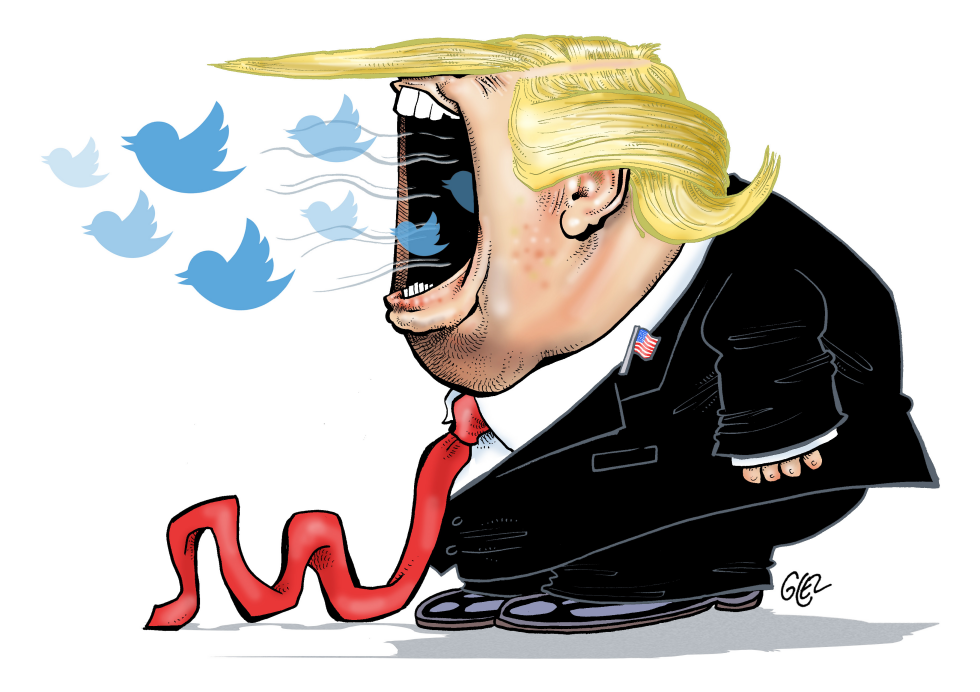 Donalds Tweet