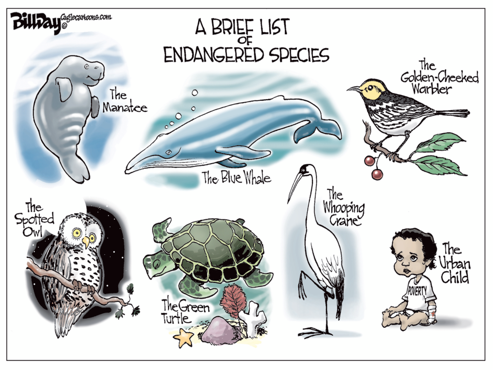  ENDANGERED by Bill Day